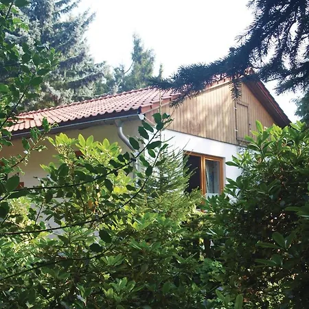 Tanneneck E * Neudorf (Saxony-Anhalt)